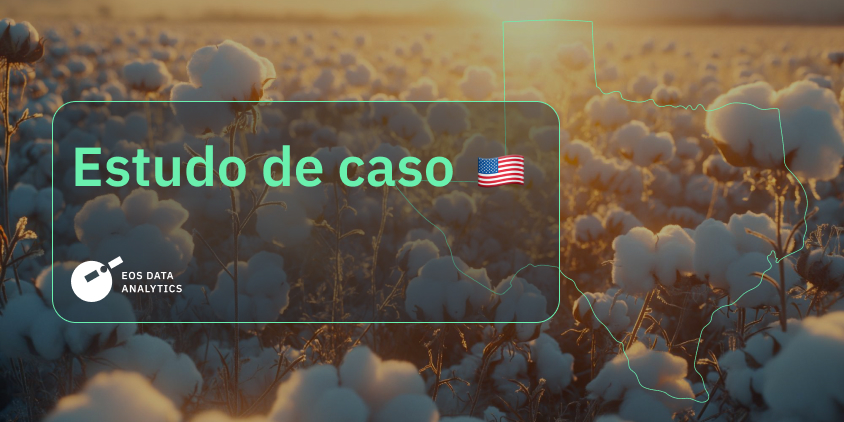 estimativa de produtividade do algodão no Texas