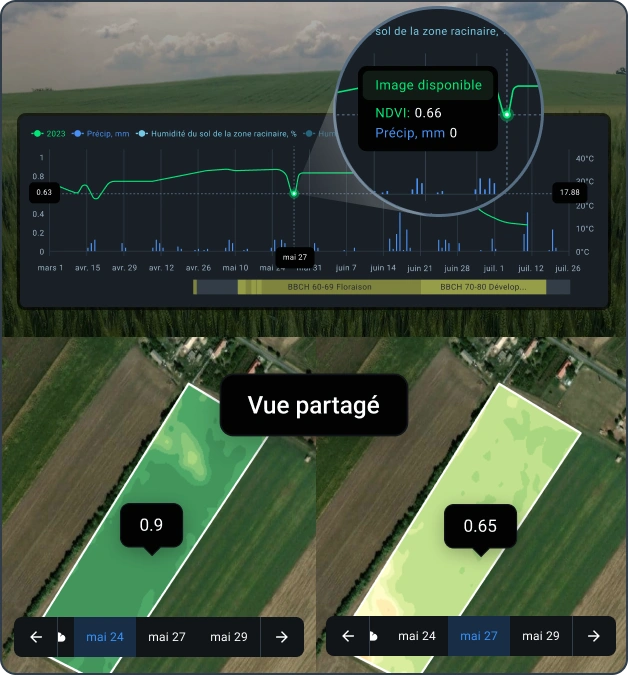 graphiques de données historiques basés sur l'analyse agricole avec le logiciel de surveillance des cultures