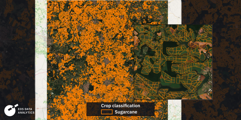 sugarcane classification map for AOI by EOS Data Analytics