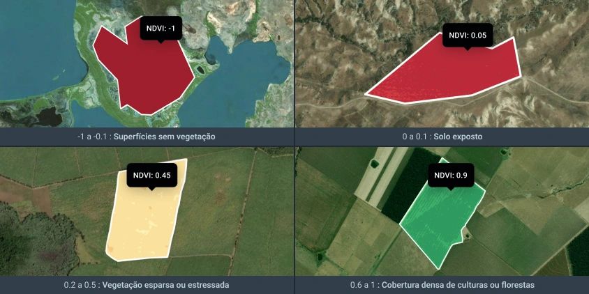 valores de índice de vegetação por diferença normalizada visualizados na plataforma