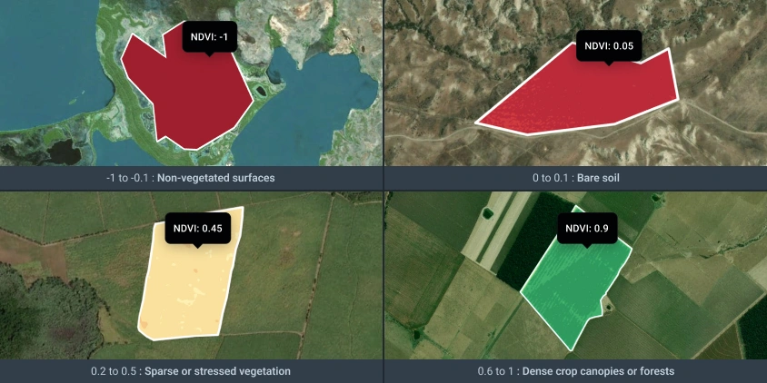 ndvi values visualized in EOSDA Crop Monitoring platform
