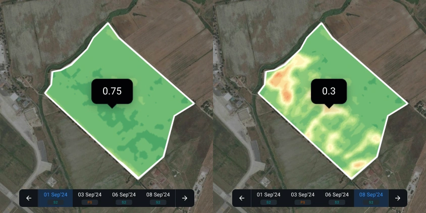 split view mode with different satellite images