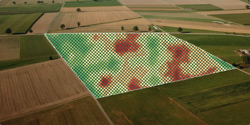 mapa de rendimiento de los cultivos de un campo visualizado en EOSDA Crop Monitoring