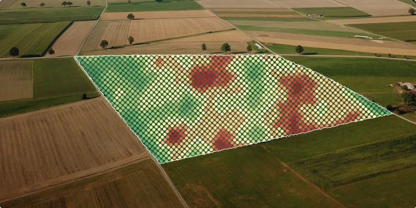 mapa de rendimiento de los cultivos de un campo visualizado en EOSDA Crop Monitoring