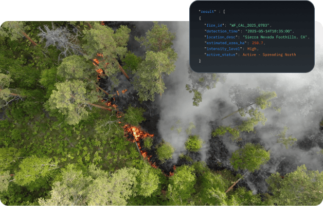 detecting catastrophes with access to satellite data