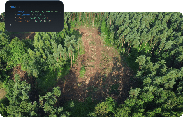 api EUDR and reforestation insights