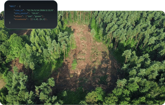 API para el agro y la silvicultura con datos de reforestación y el Reglamento EUDR