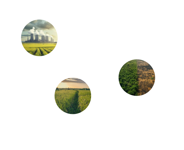 Boost Carbon Credit Returns with Faster Project Monitoring and Verification