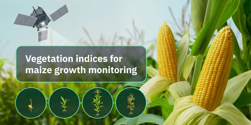 Maize Growth Monitoring using vegetation indices