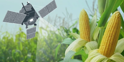 The Best Vegetation Indices For Maize Growth Monitoring