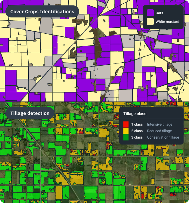Maps showing cover crop identification by species and tillage classification by intensity across agricultural fields