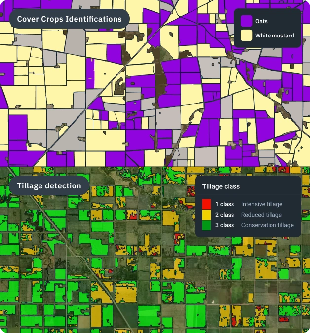 Maps showing cover crop identification by species and tillage classification by intensity across agricultural fields