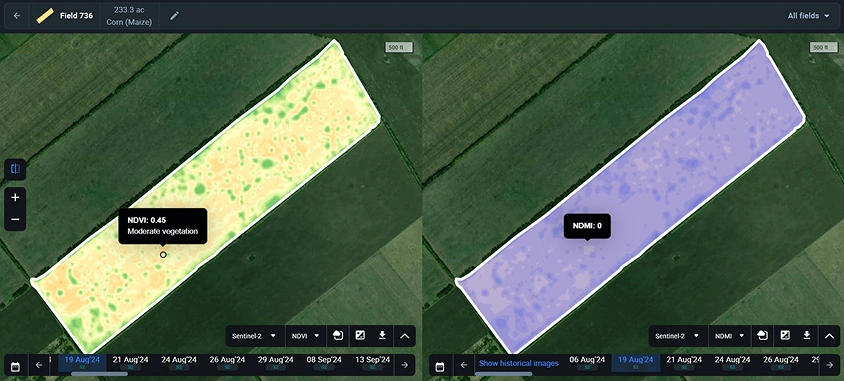 NDVI and NDMI maps to plan precision irrigation of maize