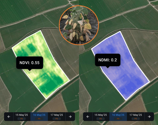 comparing NDVI and NDMI images for water management