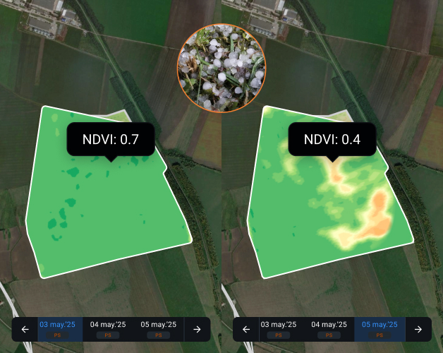 evaluación de daños por granizo en la agricultura mediante imágenes satelitales