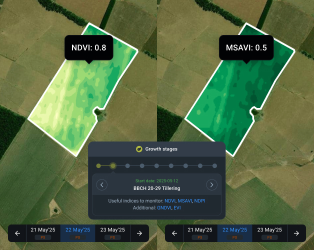 soybean growth monitoring with different indices