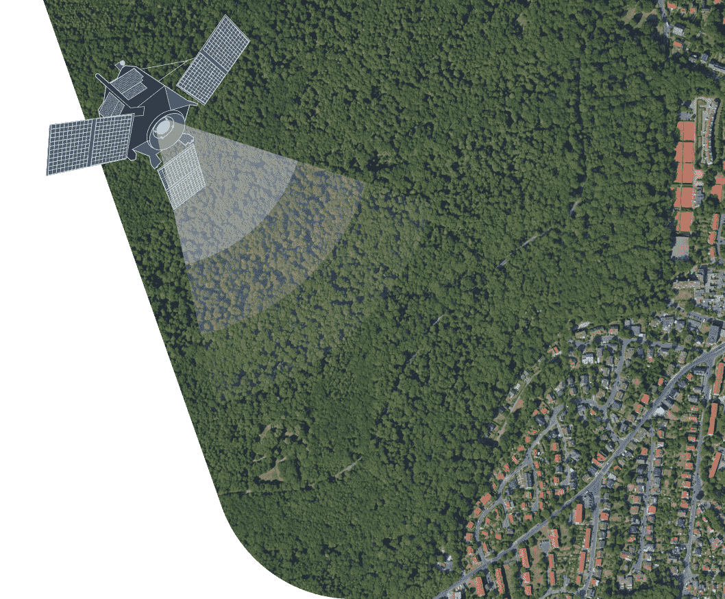 sistema satelital de monitoreo forestal