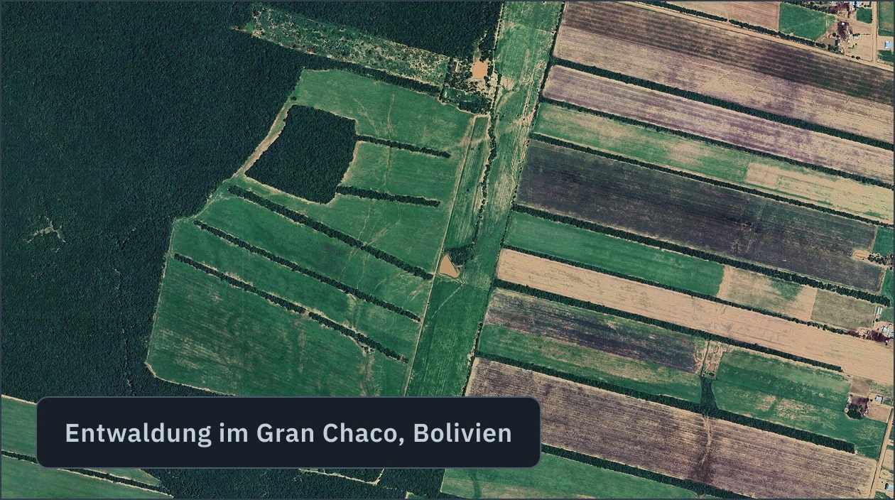 Abholzung in Chaco, Bolivien mit Software für die Forstwirtschaft erkannt
