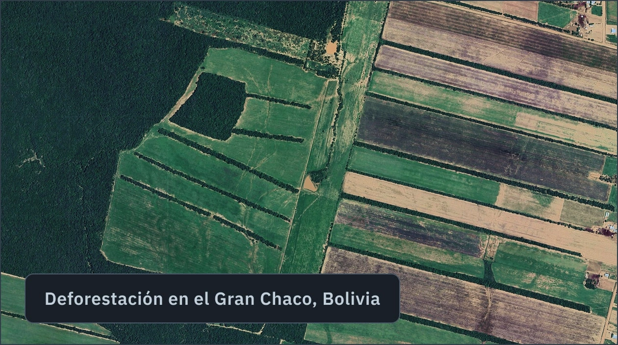 deforestación detectada en Chaco, Bolivia