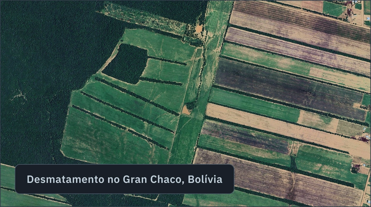 Desmatamento detectado no Chaco, Bolívia, através de software de monitoramento