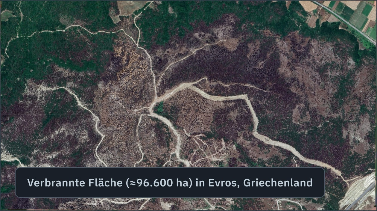 Brandfläche in Evros, Griechenland mithilfe von Software in der Forstwirtschaft erkannt