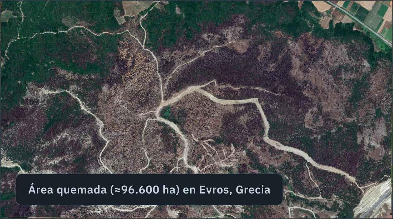área forestal quemada detectada en Evros, Grecia