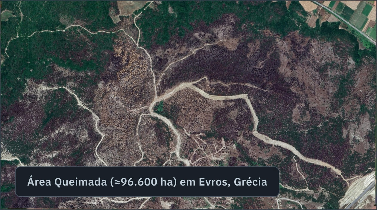 Área queimada detectada em Evros, Grécia, por meio de software de monitoramento florestal