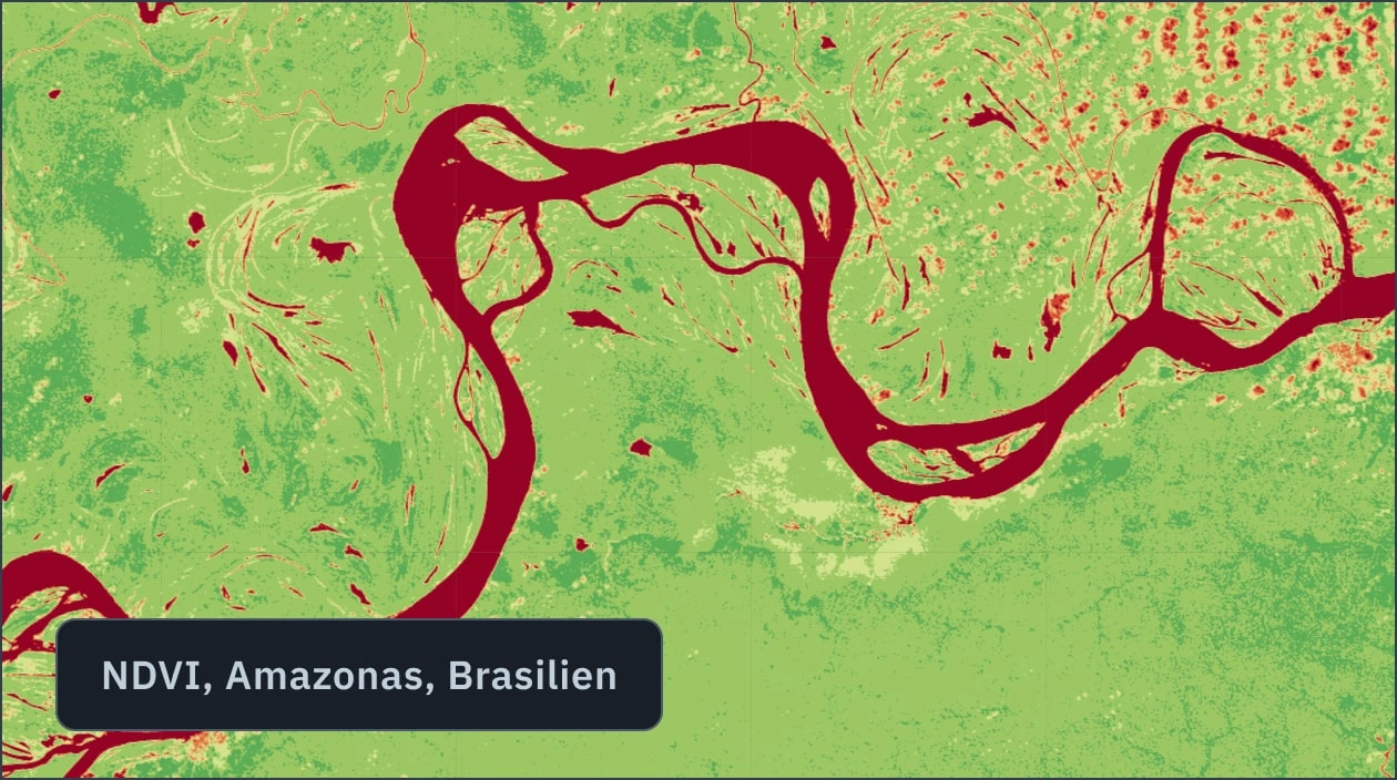 NDVI-Ansicht von Satellitenbildern des Amazonaswaldes mit Waldmonitoring-Software erstellt