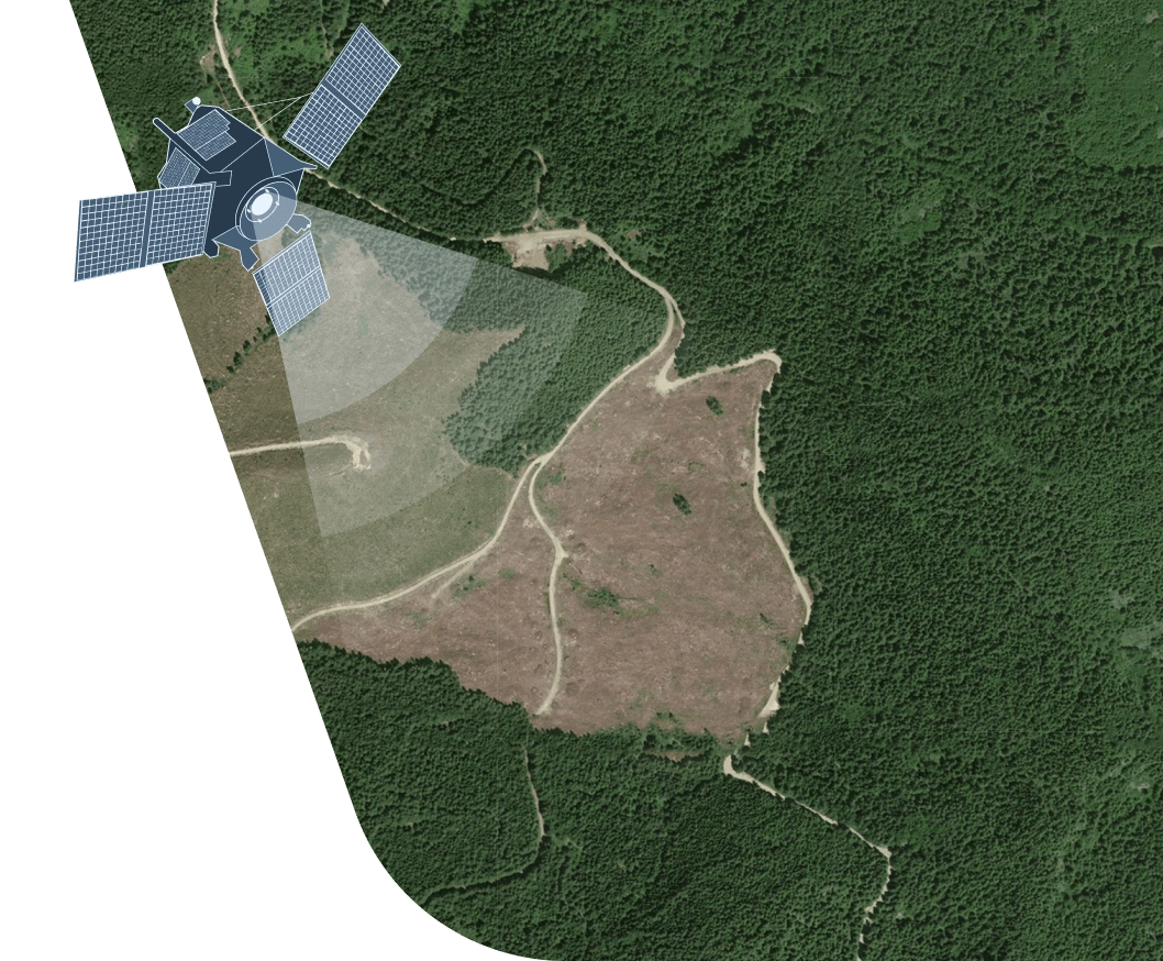 satellite monitoring of deforestation