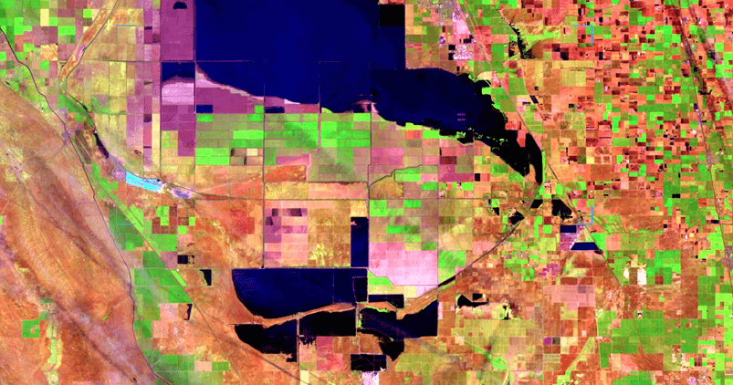el mismo campo agrícola en la misma estación en 2023