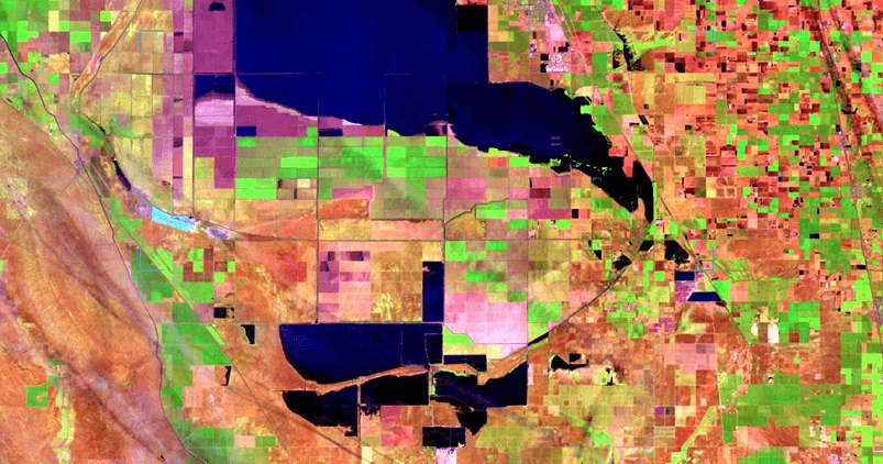 same agricultural field in the same season in 2023