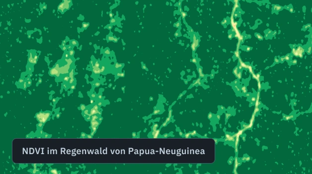 NDVI-Karte eines Regenwaldes in Papua-Neuguinea