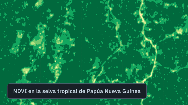mapa NDVI de una selva forestal de Papúa Nueva Guinea