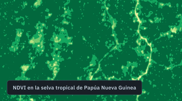 mapa NDVI de una selva forestal de Papúa Nueva Guinea