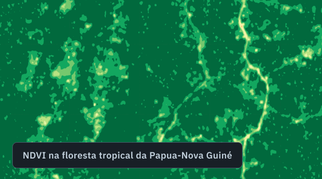 Mapa NDVI de uma floresta tropical em Papua-Nova Guiné