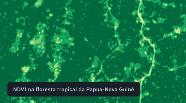 Mapa NDVI de uma floresta tropical em Papua-Nova Guiné