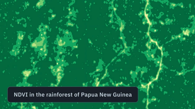 NDVI map of a rainforest in Papua New Guinea