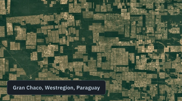 Satellitenüberwachung von Abholzung in Paraguay