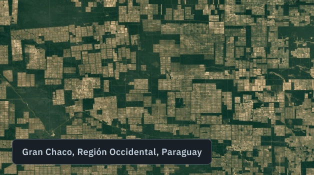 monitoreo satelital de la deforestación en Paraguay