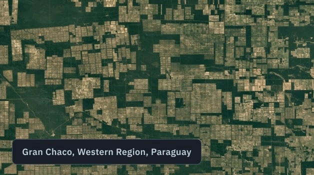 satellite monitoring of deforestation in Paraguay