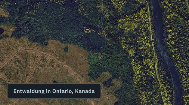 Abholzung in Ontario, Kanada erkannt