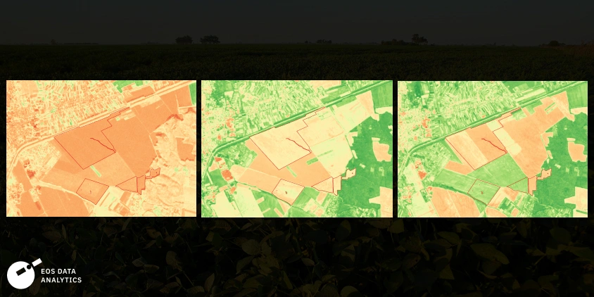 NDVI imagery comparison