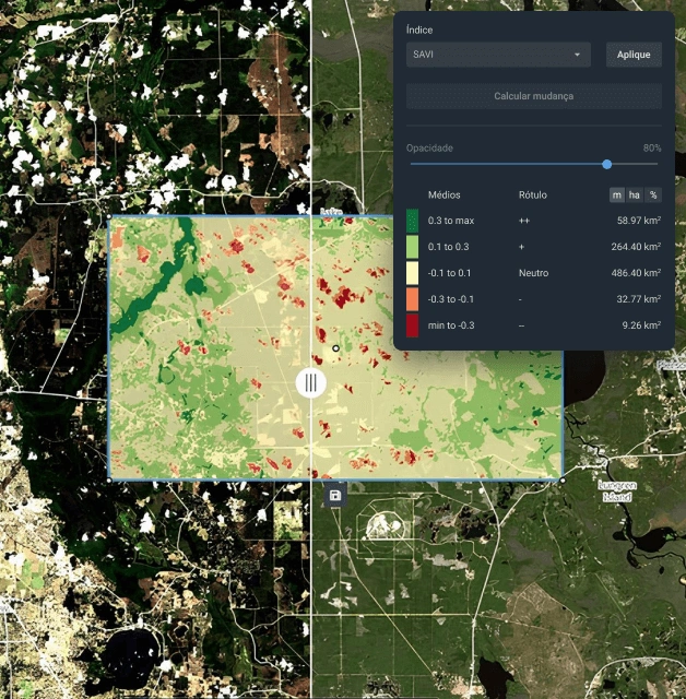 aplicando detecção de mudanças a imagens de satélite de desmatamento