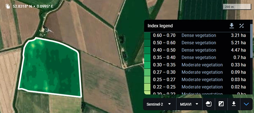 MSAVI vegetation index map