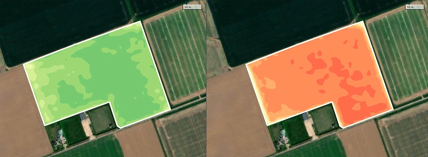 Split view for NDVI change analysis with a 30-day difference
