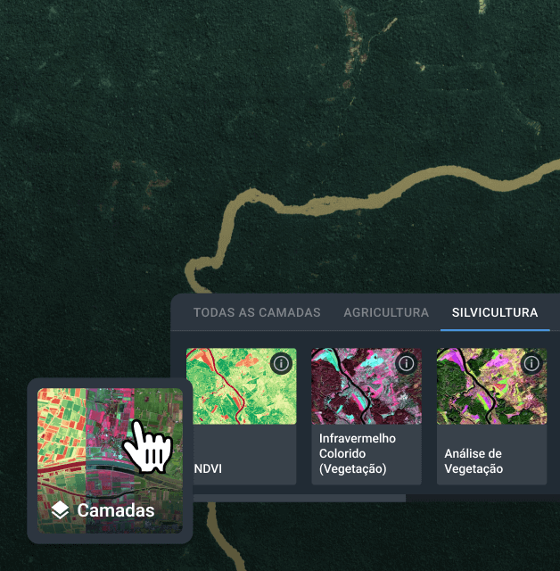 Selecionando índice para aplicar a uma cena no software de monitoramento florestal