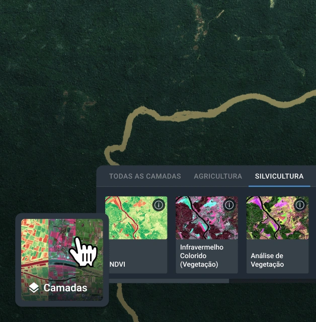 Selecionando índice para aplicar a uma cena no software de monitoramento florestal