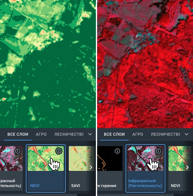 Index auf Satellitenbild eines Waldes mit Software für die Forstwirtschaft angewendet