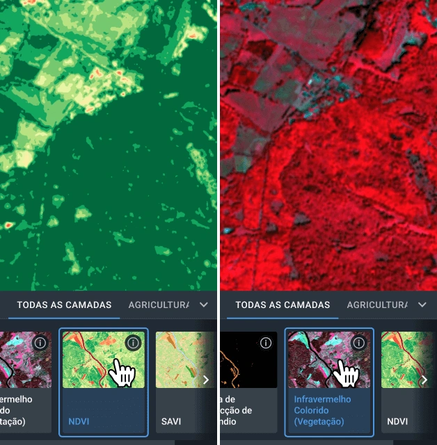 Índice aplicado a uma imagem de satélite florestal no software de monitoramento