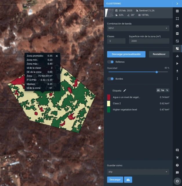 imagen satelital de una zona forestal dividida en subzonas
